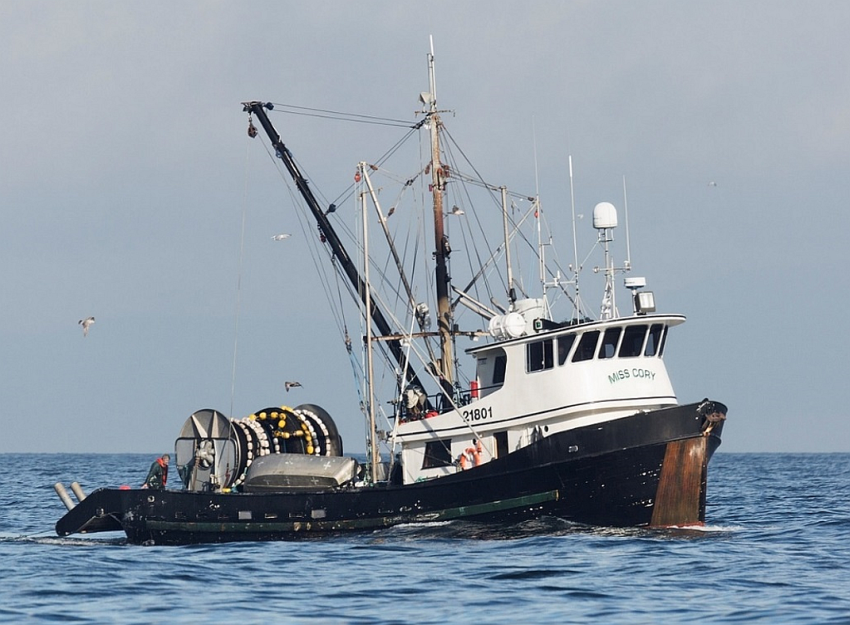 The fishing vessel <em>Miss Cory</em>