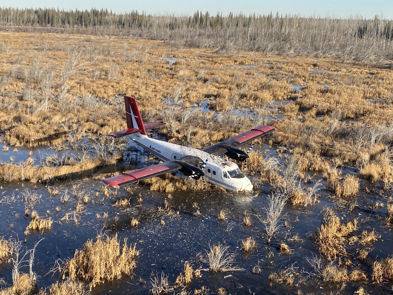 Photo of the occurrence aircraft after the forced landing in the muskeg, looking east (Source: Air Tindi Ltd.)