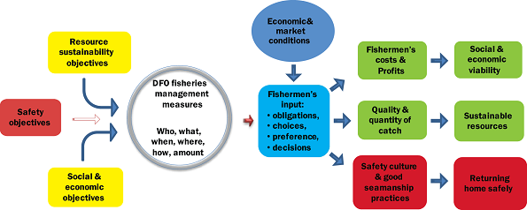 Model of ideal fisheries management context, which takes safety into account as measures are developed