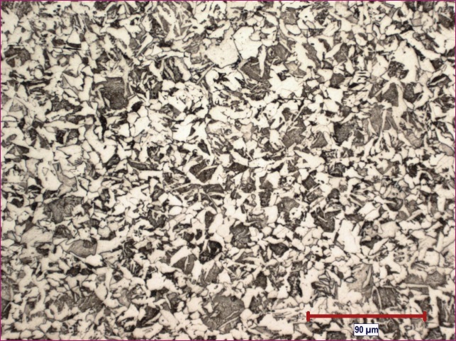 (a) Coupon 59H – Micrographie optique, grossissement initial de x200