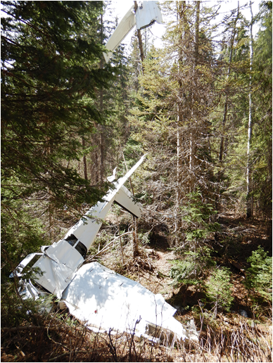 L’aéronef à l’étude sur les lieux de l’accident, l’aile droite au sommet d’un arbre (Source : BST)