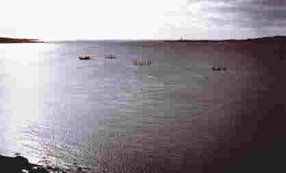 Des cageots à homards au large de Freeport. À remarquer : la chaîne de rochers la pointe Dartmouth en arrière-plan.