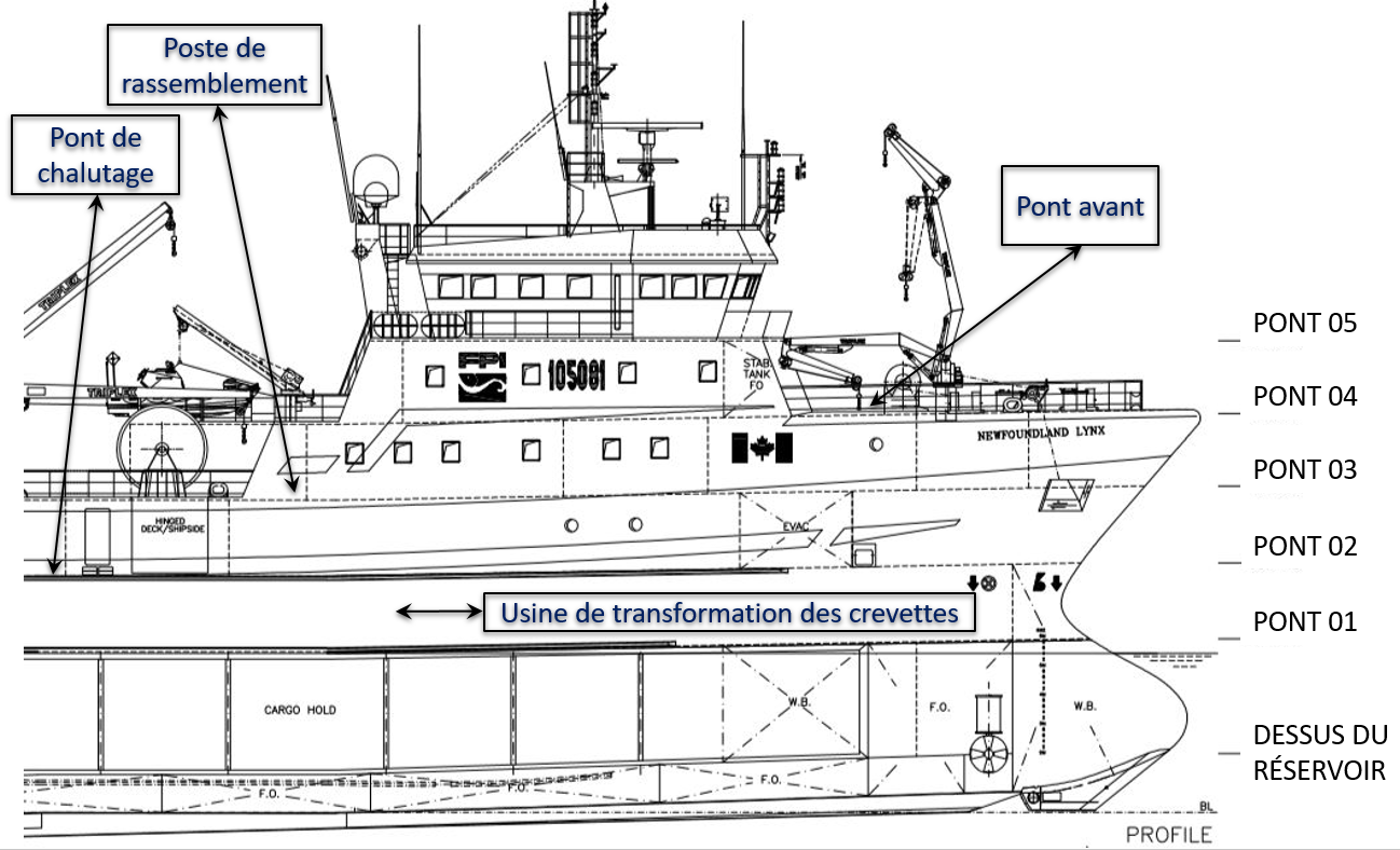 Plan d’ensemble du Newfoundland Lynx de profil, indiquant l’emplacement du pont de chalutage, du poste de rassemblement, du pont avant et de l’usine de transformation des crevettes (Source : ShipCon ApS, avec annotations du BST)