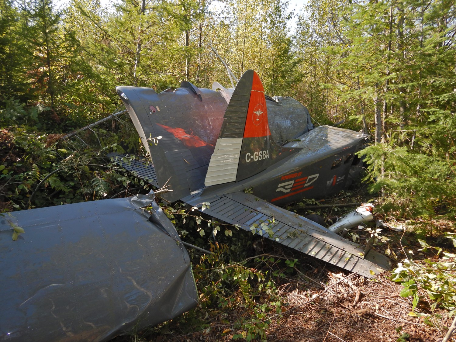 Figure 4. Occurrence site from rear right side of aircraft (Source: TSB)