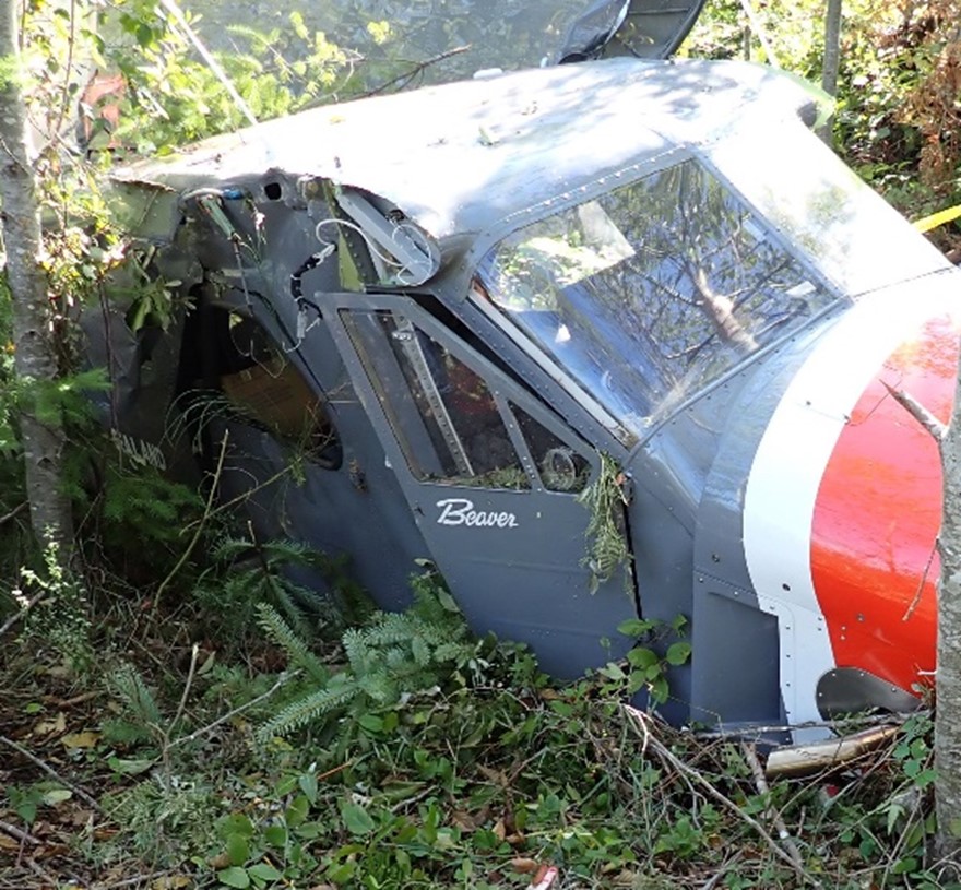 Figure 5. Accident site, showing right cockpit door obstructed by terrain (Source: TSB)