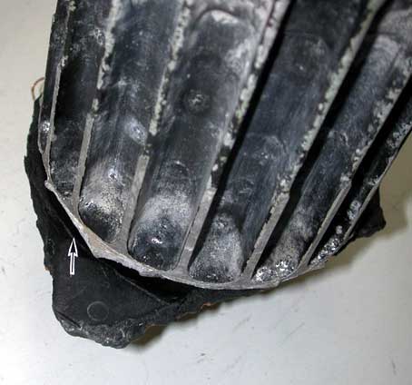 Ventilateur récupéré - pièce produite 1-8212 - rainure sur le rouet