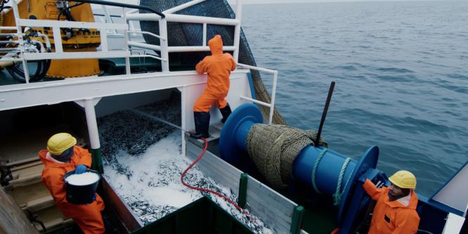 Commercial-Fishing