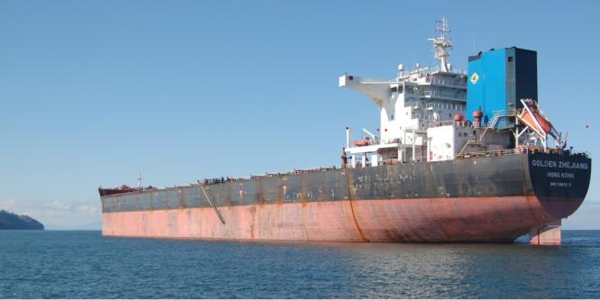 Figure 1. The bulk carrier Golden Zhejiang (Source: TSB)