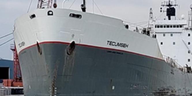 <h2>2019 bulk carrier fire in Windsor, ON raises concerns around firefighting capabilities at some Canadian harbours and ports</h2>