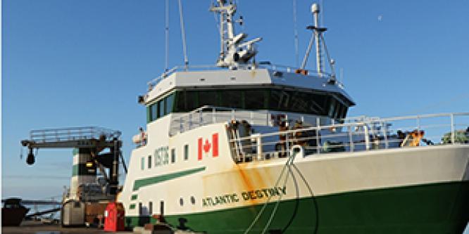 <h2>TSB raises safety concern following investigation into the sinking of the <em>Atlantic Destiny</em></h2>